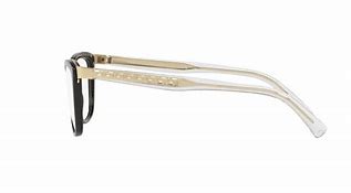 Image result for Alligator with Versace Glasses