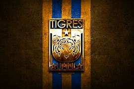 Image result for Club Tigres