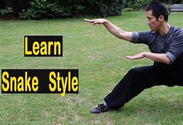 Image result for Kung Fu Fighting Styles