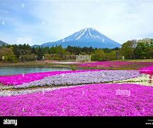 Image result for Mount Fuji Temple