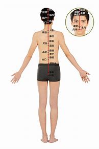 Image result for Acupuncture Points Diagram