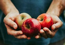 Image result for Apple with Seeds