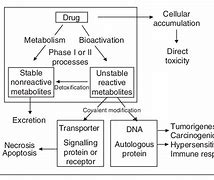 Image result for Drug Toxicity Experiment