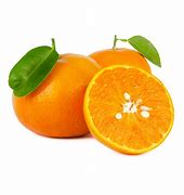 Image result for All Types of Oranges