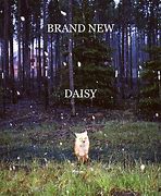 Image result for Brand New Album Cover