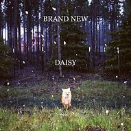 Image result for Brand New Album Art