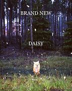Image result for Brand New Daisy Album Cover