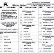 Image result for Lake County IL Voting Ballot