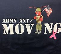 Image result for Army Ant Soccer Team Logo