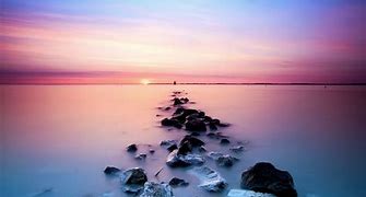 Image result for Cute Pastel Nature