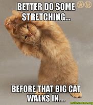 Image result for Warm Up and Stretch Meme