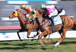 Image result for Australian Horse Racing Wallpapers