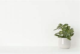 Image result for Plain Office Background Zoom