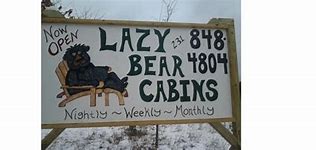 Image result for Lzy Bear Cabins Michigan