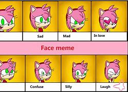 Image result for Amy Rose Meme Stare