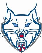 Image result for Minnesota Lynx Logo