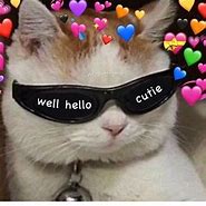 Image result for Cat Love Heart Meme