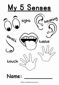 Image result for Activities On 5 Senses for Kg3