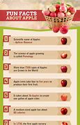 Image result for Apple Fruit Details