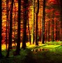 Image result for Autumn Background