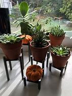 Image result for Welded Plant Stands