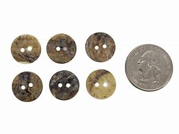 Image result for Native American Shell Buttons