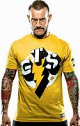 Image result for CM Punk Muscles