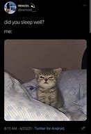 Image result for Funny Tired Cat Memes