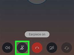 Image result for Skype Mute Button