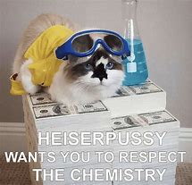 Image result for Purrfect Cat Meme