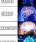 Image result for Smart Brain Meme