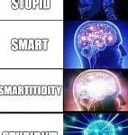 Image result for My Brain Meme Smart