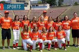 Image result for Little League Softball Teams Dodgers