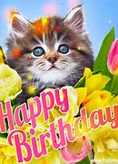 Image result for Happy Birthday Cute Cat Memes