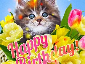 Image result for Happy Birthday Stay-Cool Cat