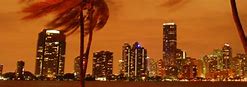 Image result for Miami Nights Meme