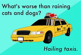 Image result for Automotive Puns