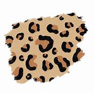 Image result for Cheetah Print for Cricut