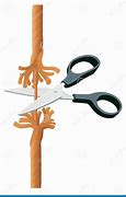 Image result for Scissors Cutting Rope
