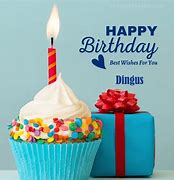 Image result for Happy Birthday Ya Dingus Meme