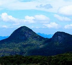 Image result for Knuckles Mountain Range and Reserve Animals