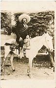 Image result for Mexican Names for Horses