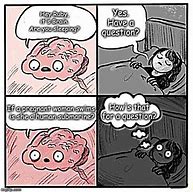 Image result for Brain Are You Sleeping Meme