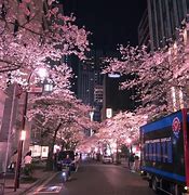 Image result for Tokyo Japan Aesthetic