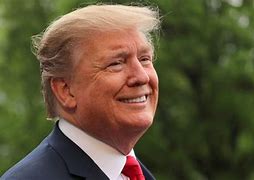Image result for Trump Side View