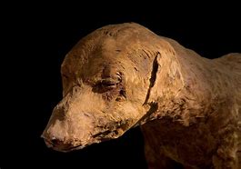 Image result for Ancient Egypt Animal Mummies