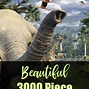 Image result for 3000 Piece Jigsaw Puzzles