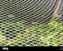 Image result for Garden Net Texture Seamless