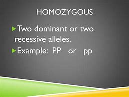 Image result for Example of Homozygous