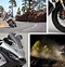 Image result for Yamaha X Adv 750